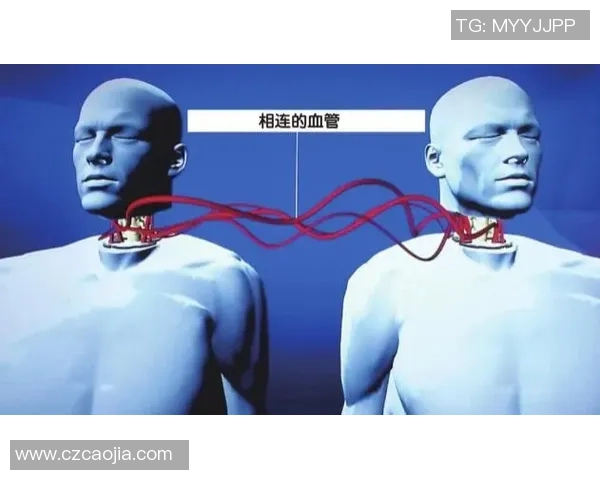 专访乒乓球名将吴强揭秘他成功背后的秘密与坚持